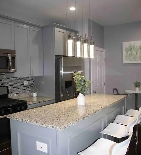 Apartment Upscale Westside Of Chicago